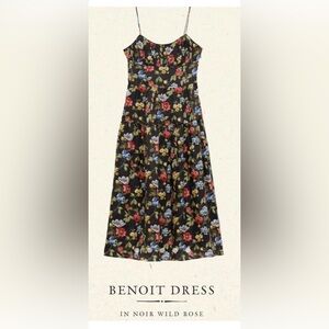 Doen Benoit with Multicolor Blooms